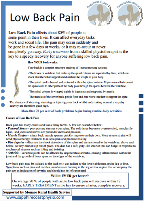 Low Back Pain Brochure