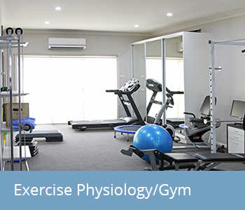 Exercise Physiology/Gym