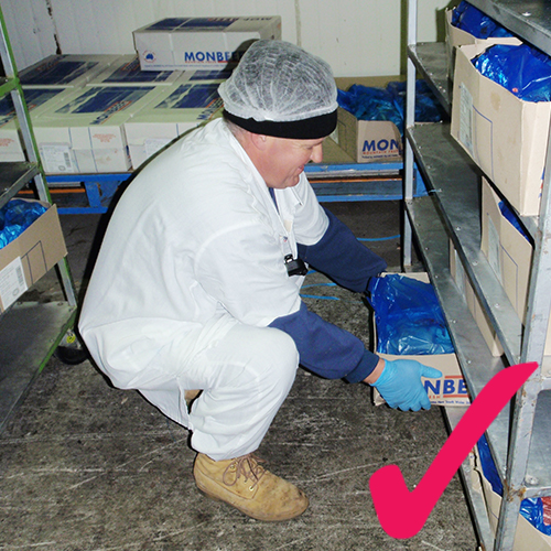 Occupational and Workplace lifting correctly