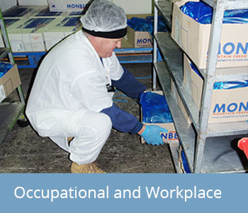 Occupational and Workplace Physiotherapy