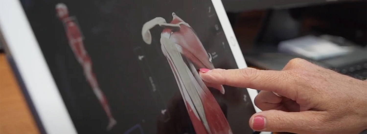 Ski Fit Assessment of Muscles